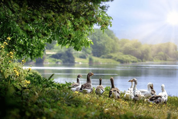 Tourisme En Auvergne