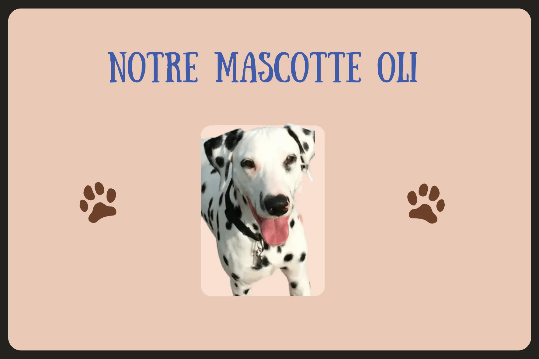 mascotte camping Dompierre sur besbre