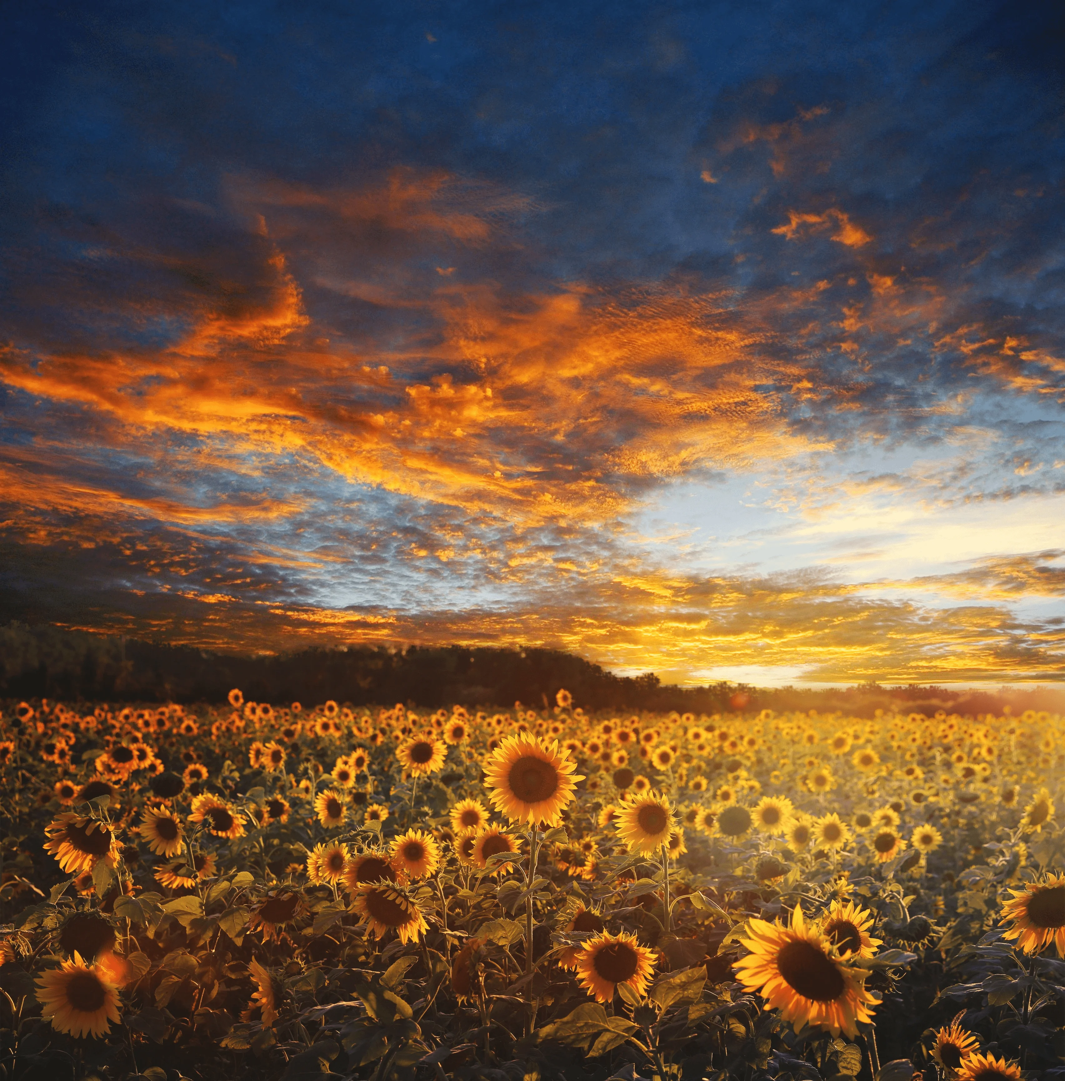 Ecotourisme Auvergne